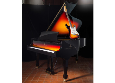 Steinway & Sons Sunburst
