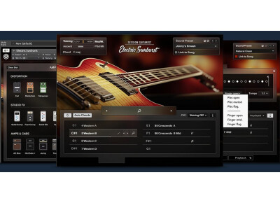 Native Instruments Session Guitarist - Electric Sunburst