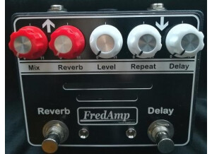 FredAmp Combi Delay+Reverb
