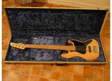 Mike Lull Custom Guitars M5V