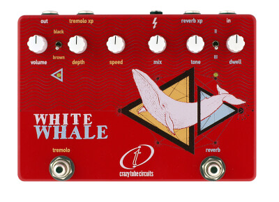 Crazy Tube Circuits White Whale