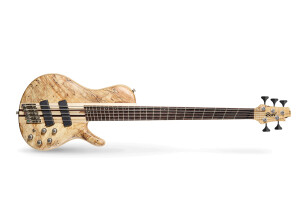 Cort Artisan A5 Plus SCFF