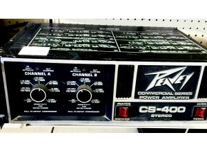 Peavey CS-400