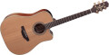 Takamine ressuscite la série Natural