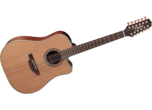Takamine EN10C-12 (2018)