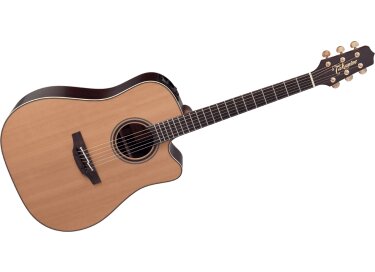 Takamine DN15C