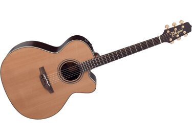 Takamine DN25C