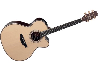 Takamine TN28C