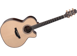 Takamine TN48C
