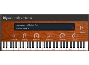 BIGcat Instruments NST Vocals