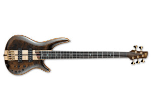 Ibanez SR1825