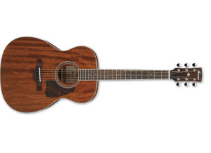 Ibanez AC340