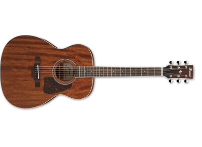 Ibanez AC340