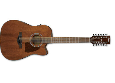 Ibanez AW5412CE