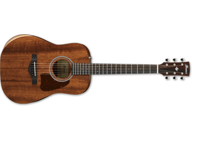 Ibanez AW54JR