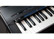 The One Music Group Piano Hi-Lite