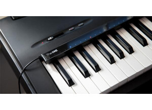 The One Music Group Piano Hi-Lite