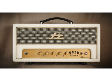 FX Amplification Gold Digger