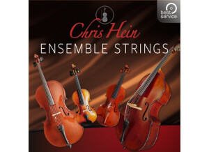 Best Service Chris Hein Ensemble Strings