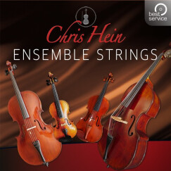 Best Service lance Chris Hein Ensemble Strings