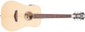 Une Dreadnought compacte chez D'Angelico