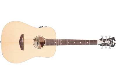 D'angelico Premier Niagara