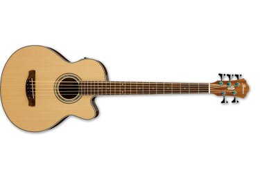Ibanez AEB105E