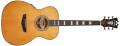Une guitare acoustique "reliquée" chez D'Angelico