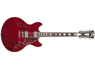D'angelico Premier DC 12-string