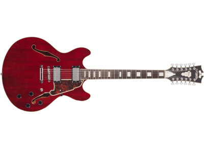 D'angelico Premier DC 12-string