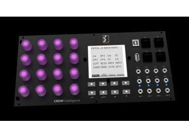 Birdkids Crow Intelligence