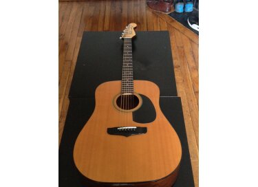 Fender Concord