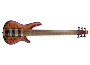 Ibanez SR876