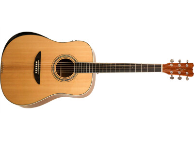 Reverse Tension Guitar D-430