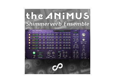 Jiggery-Pokery The Animus