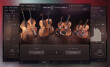 Les Session Strings passent à la version 2