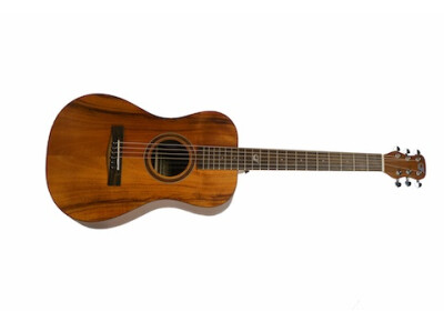 Journey Instruments Journey Junior JF880N