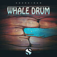 Le Whale Drum II fait son retour chez Soundiron