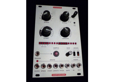 Ginko Synthese SampleSlicer mk2