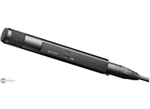 Sennheiser MKH 30-P48