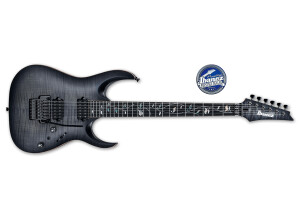 Ibanez RGA8420