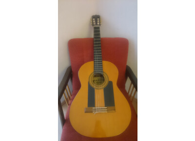 Hohner Leyanda Line LC 40 N