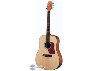 Walden D 550 CE