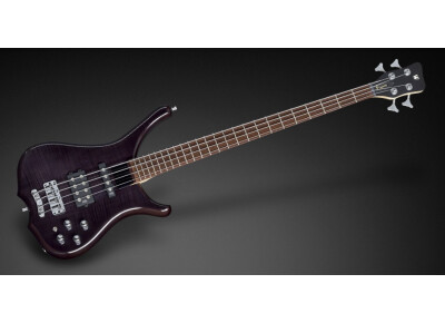 Rockbass Infinity 4