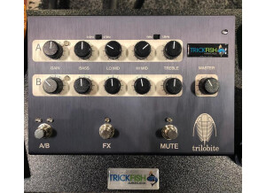 Trickfish Amplification Trilobite