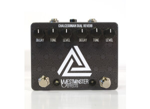 Westminster Effects Chalcedonian Dual Reverb