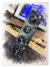L’IGS Audio iQ EQ bientôt au format 500