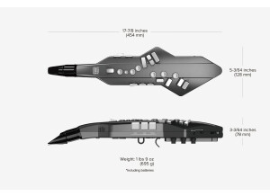 Roland Aerophone GO