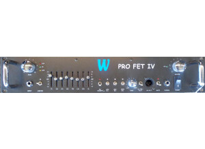 Warwick Pro FET IV