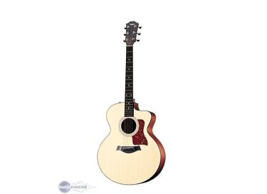 Taylor 315ce